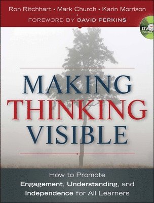 Making Thinking Visible 1