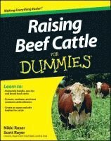 bokomslag Raising Beef Cattle For Dummies