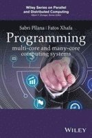 Sabri Pllana, Fatos Xhafa - Programming Multicore and Many-core Computing Systems, Inbunden