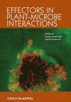 bokomslag Effectors in Plant-Microbe Interactions
