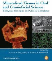 bokomslag Mineralized Tissues in Oral and Craniofacial Science
