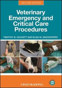 bokomslag Veterinary Emergency and Critical Care Procedures