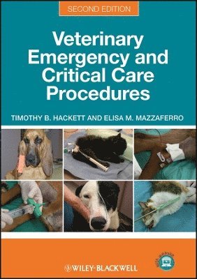 Timothy B. Hackett, Elisa M. Mazzaferro - Veterinary Emergency and Critical Care Procedures, Häftad