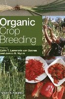 bokomslag Organic Crop Breeding