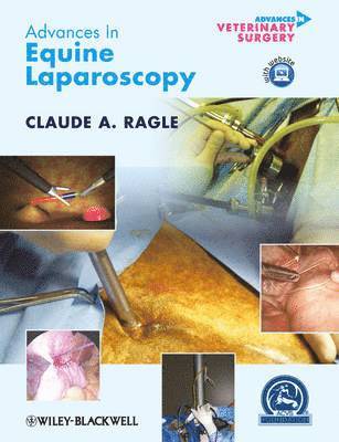 bokomslag Advances in Equine Laparoscopy