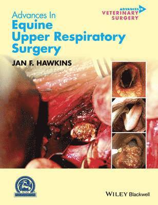 Advances in Equine Upper Respiratory Surgery 1