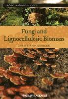 bokomslag Fungi and Lignocellulosic Biomass