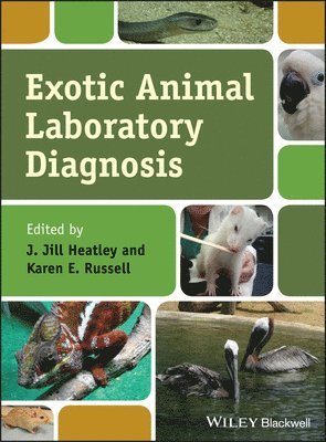 bokomslag Exotic Animal Laboratory Diagnosis