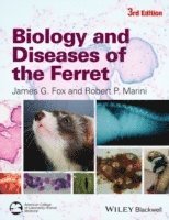 bokomslag Biology and Diseases of the Ferret