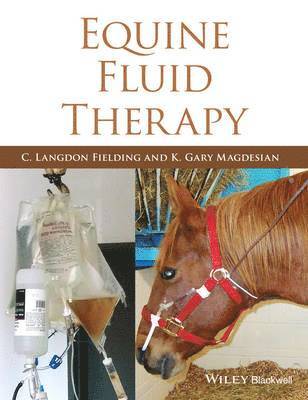 bokomslag Equine Fluid Therapy