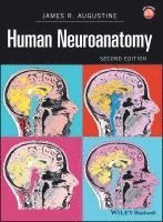 Human Neuroanatomy 1