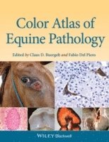 bokomslag Color Atlas of Equine Pathology