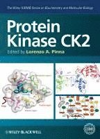 bokomslag Protein Kinase CK2