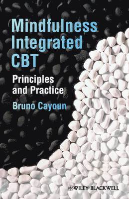 Mindfulness-integrated CBT 1