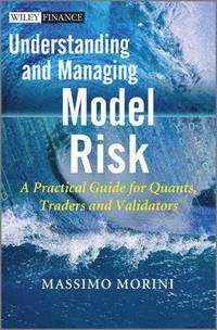 bokomslag Understanding and Managing Model Risk