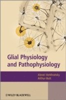 bokomslag Glial Physiology and Pathophysiology