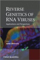 bokomslag Reverse Genetics of RNA Viruses