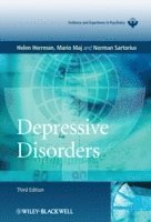 bokomslag Depressive Disorders