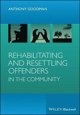 bokomslag Rehabilitating and Resettling Offenders in the Community