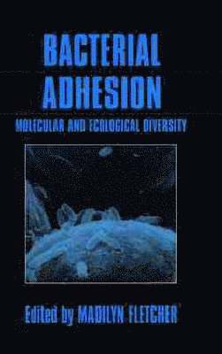 Madilyn Fletcher - Bacterial Adhesion, Inbunden