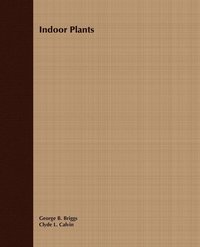 bokomslag Indoor Plants