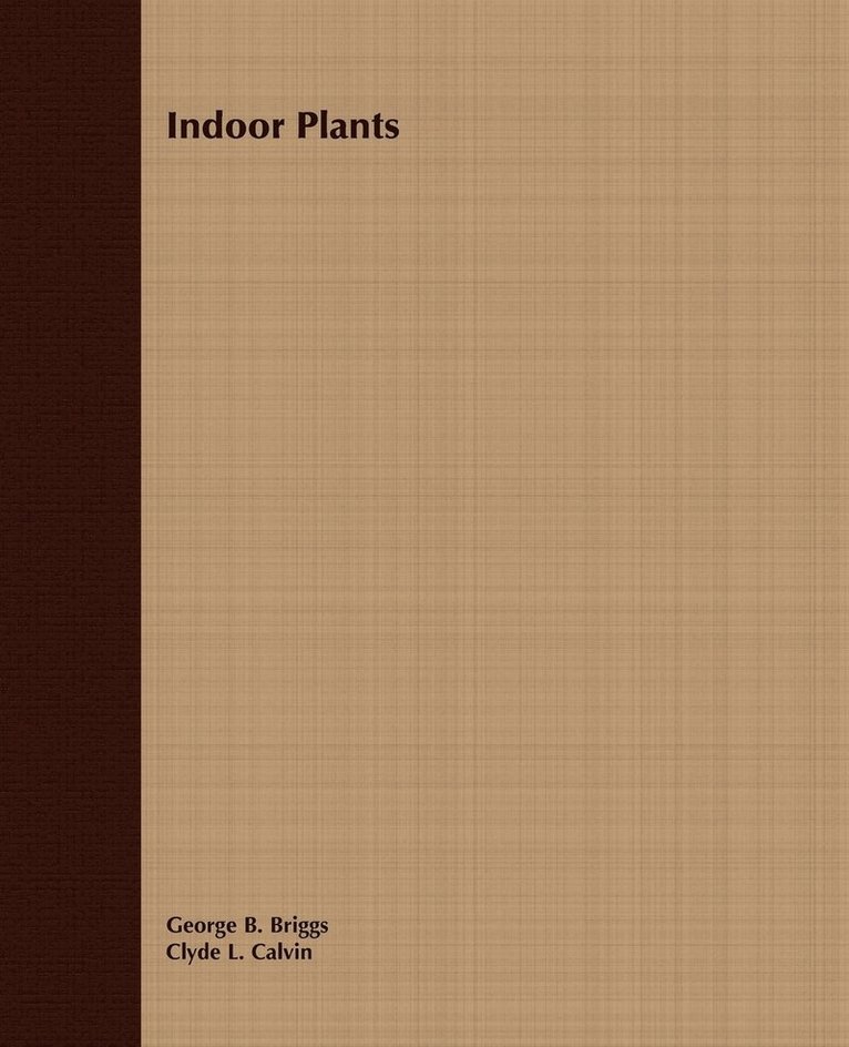 Indoor Plants 1
