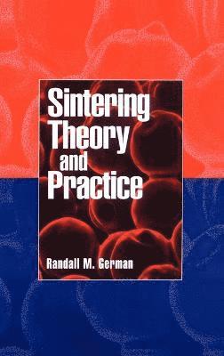 bokomslag Sintering Theory and Practice