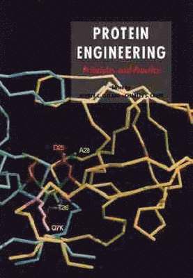 bokomslag Protein Engineering