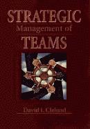 bokomslag Strategic Management of Teams