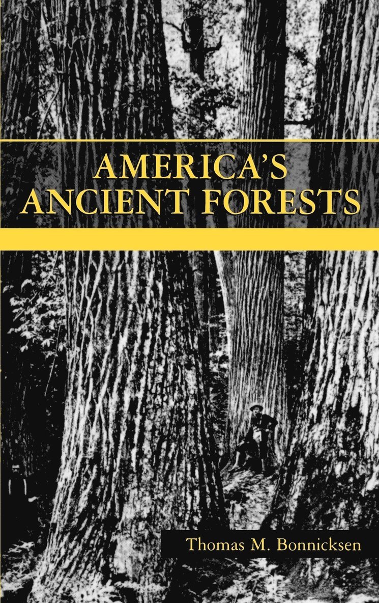 America's Ancient Forests 1