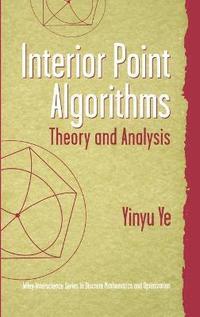 bokomslag Interior Point Algorithms