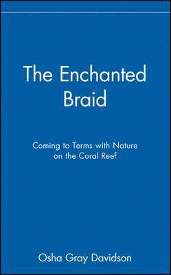bokomslag The Enchanted Braid