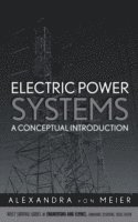 bokomslag Electric Power Systems