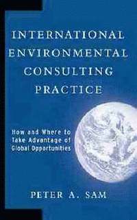 bokomslag International Environmental Consulting Practice