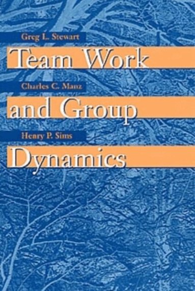 Greg L. Stewart, Charles C. Manz, Henry P. Sims, Kenneth G. Brown - Team Work and Group Dynamics, Häftad