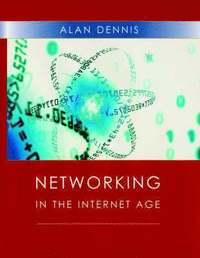 bokomslag Networking in the Internet Age