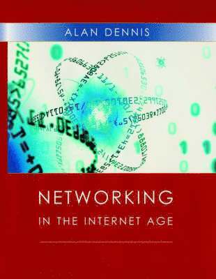 bokomslag Networking in the Internet Age