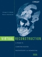 bokomslag Virtual Reconstruction