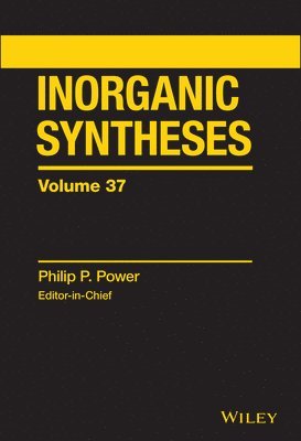 Dimitri Coucouvanis - Inorganic Syntheses, Volume 33, Inbunden