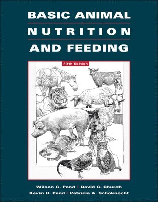 Basic Animal Nutrition and Feeding 1