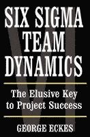 bokomslag Six Sigma Team Dynamics