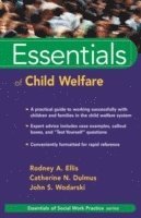 Rodney A. Ellis, Catherine N. Dulmus, John S. Wodarski - Essentials of Child Welfare, Häftad