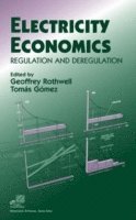 Electricity Economics 1