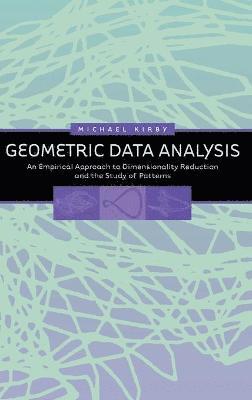bokomslag Geometric Data Analysis
