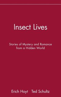 bokomslag Insect Lives: Stories of Mystery and Romance from a Hidden World