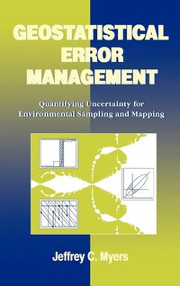 bokomslag Geostatistical Error Management