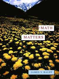 bokomslag Math Matters
