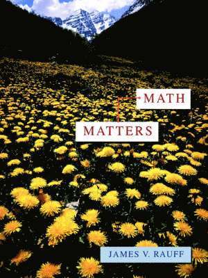 Math Matters 1