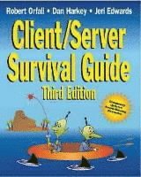 bokomslag Client/Server Survival Guide