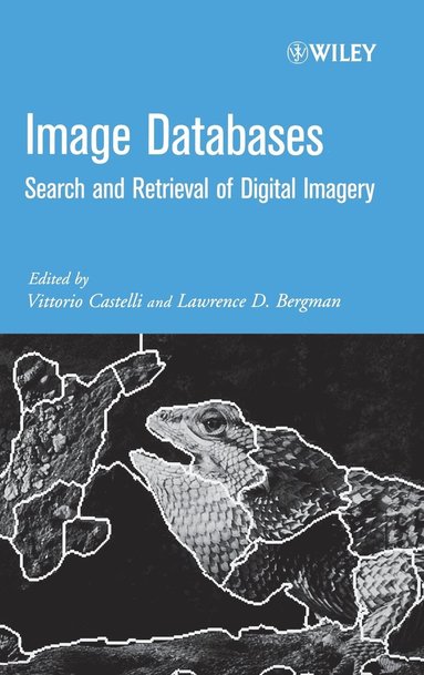 bokomslag Image Databases